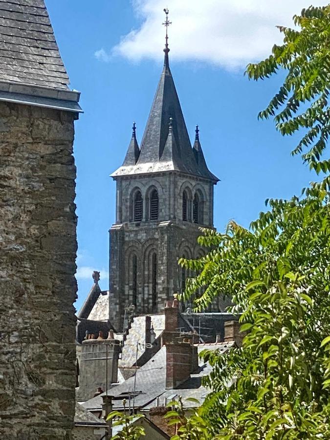 Le Logis Du Vassal Laval (Mayenne) Exterior foto